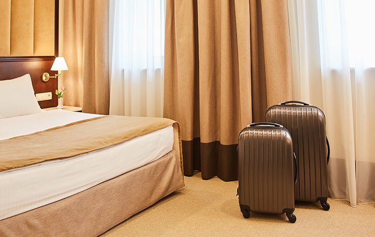 luggage in a hotel room