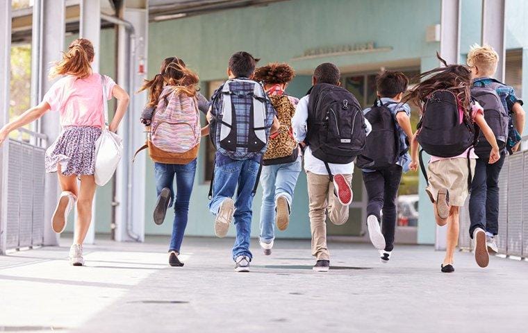 bed bugs spreading on backpacks at school