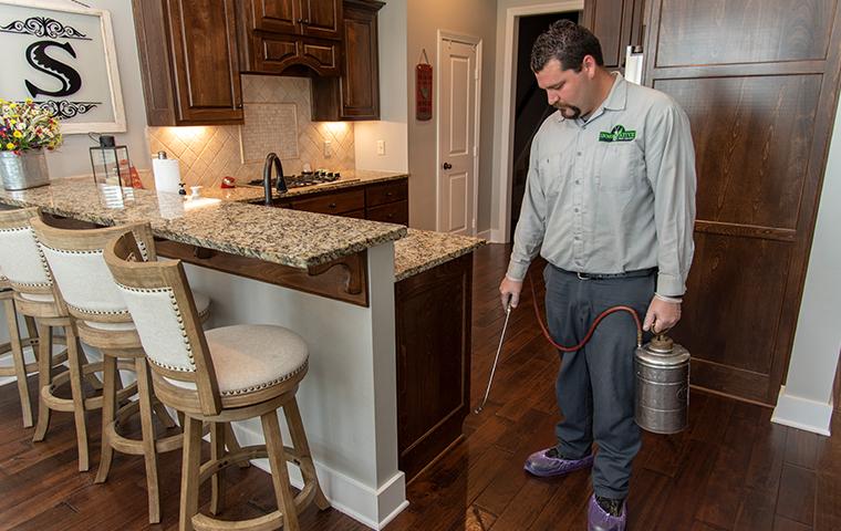 east texas pest control expert applying spider treatment in kitchen