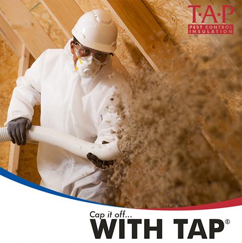 person insulating an attic