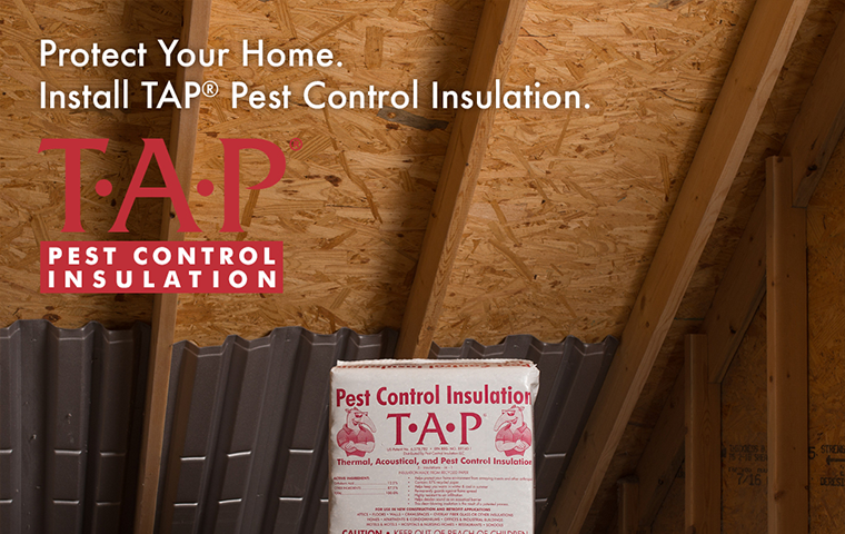 thermal insulation in an attic
