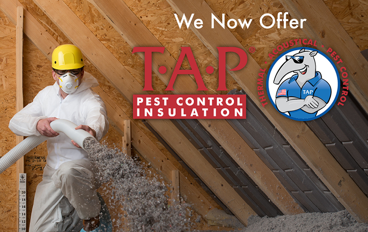 termal insulation installed in attic