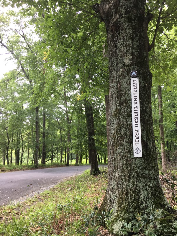 Morrow Mountain State Park Trail