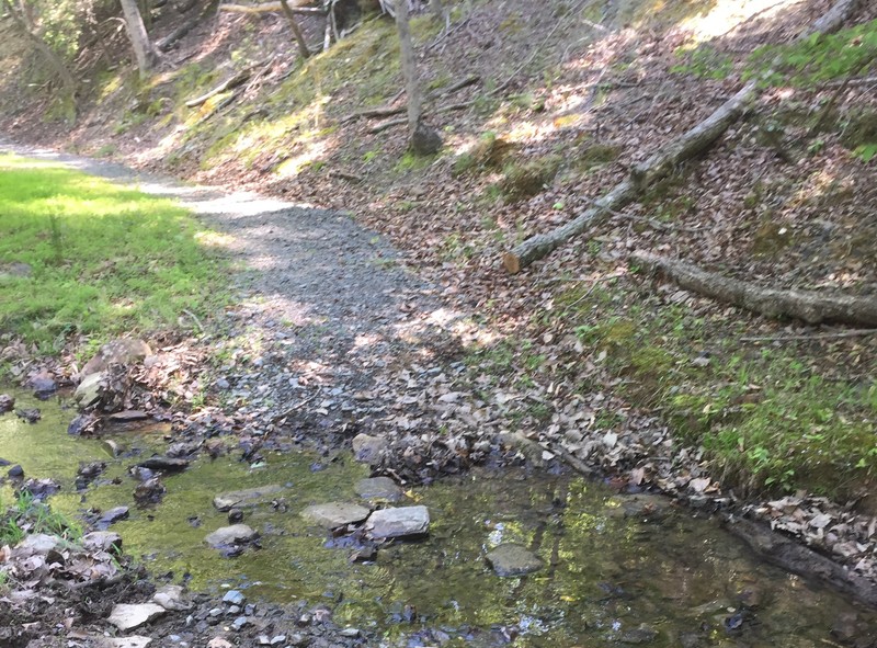 Morrow Mountain State Park Trail