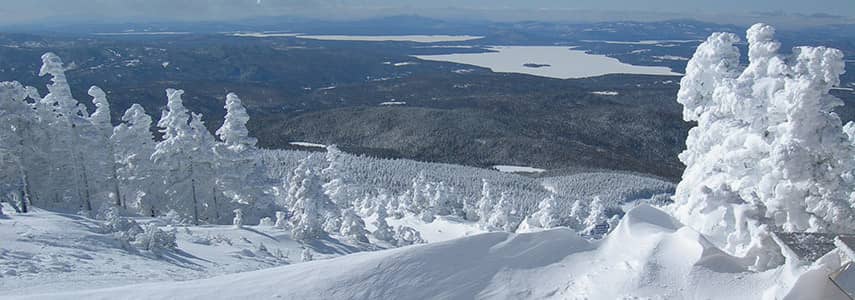 Saddleback Near Summit