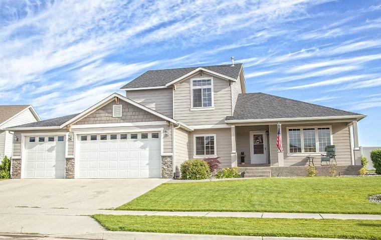 a pest free home in hutto texas