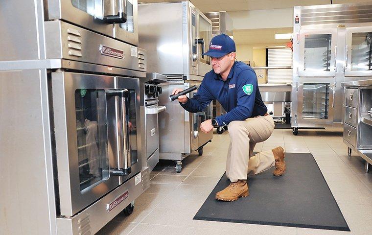 a pest technician inspecting a commercial kitchen