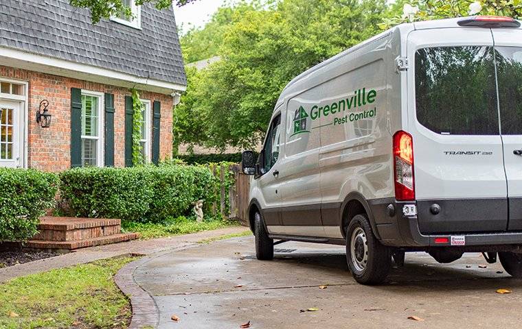 white company van