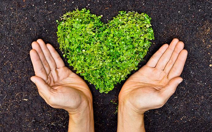 hands surrounding heart shaped grass