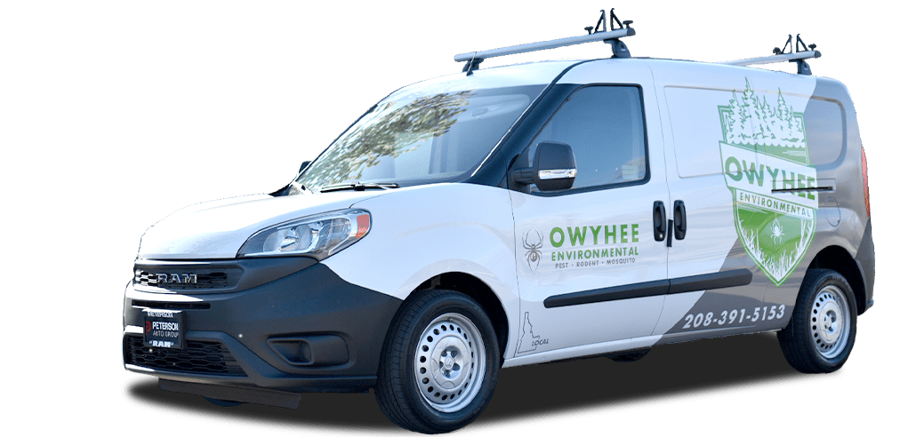 owyhee environmental van
