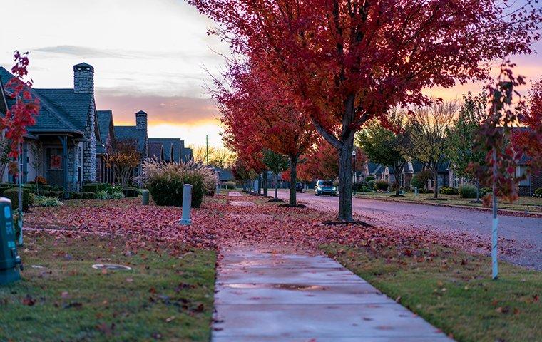 a view of looking down a street of houses in moravia new york