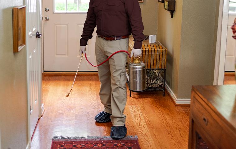 technician spraying inside a home
