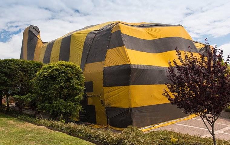 fumigation tent on a house