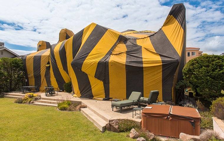 fumigation tent around florida home