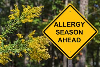 yellow road sign that says Allergy Season Ahead