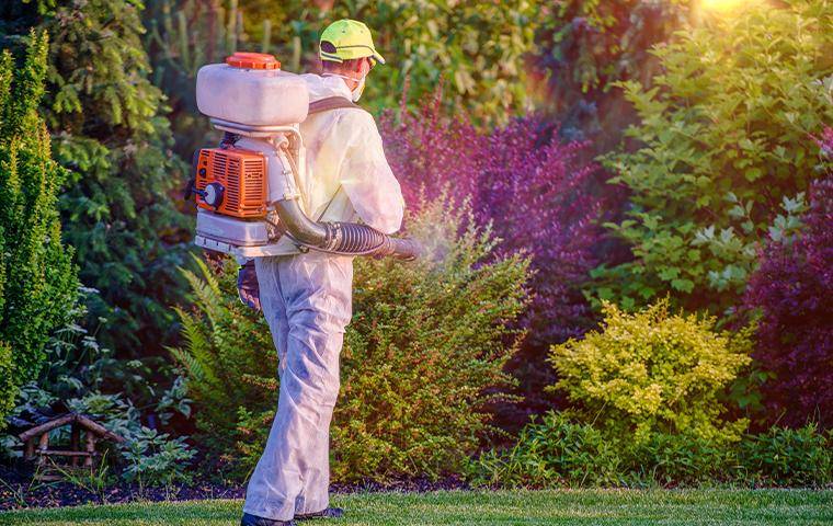 technician treating exterior