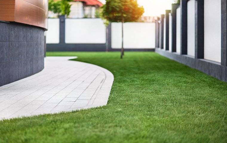 a beautiful lawn with a patio