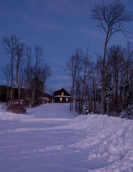 A house in the distance with a snow covered road leading to it flanked with trees on each side
