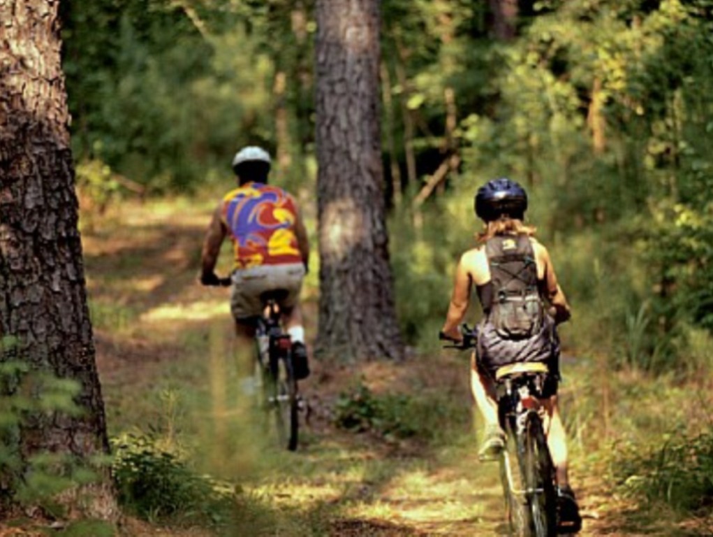 lake marion mountain bike trail