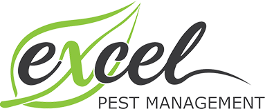 excel pest management logo