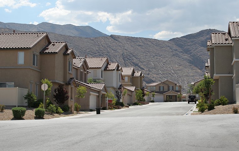 houses in an arizona homeowners association