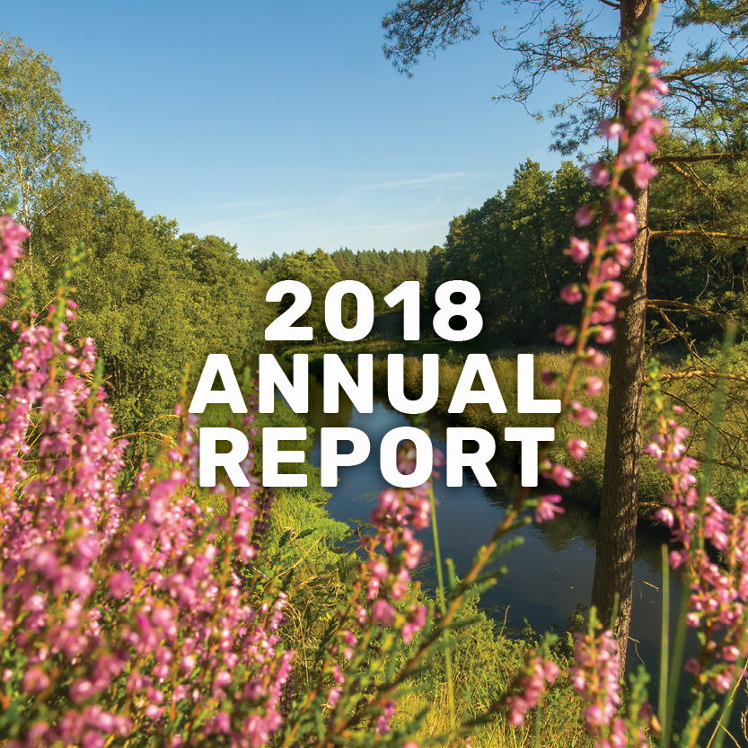 2018 annual report banner