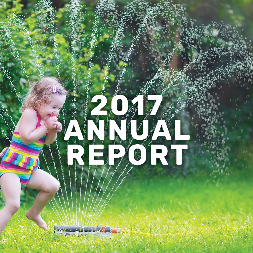 2017 annual report banner