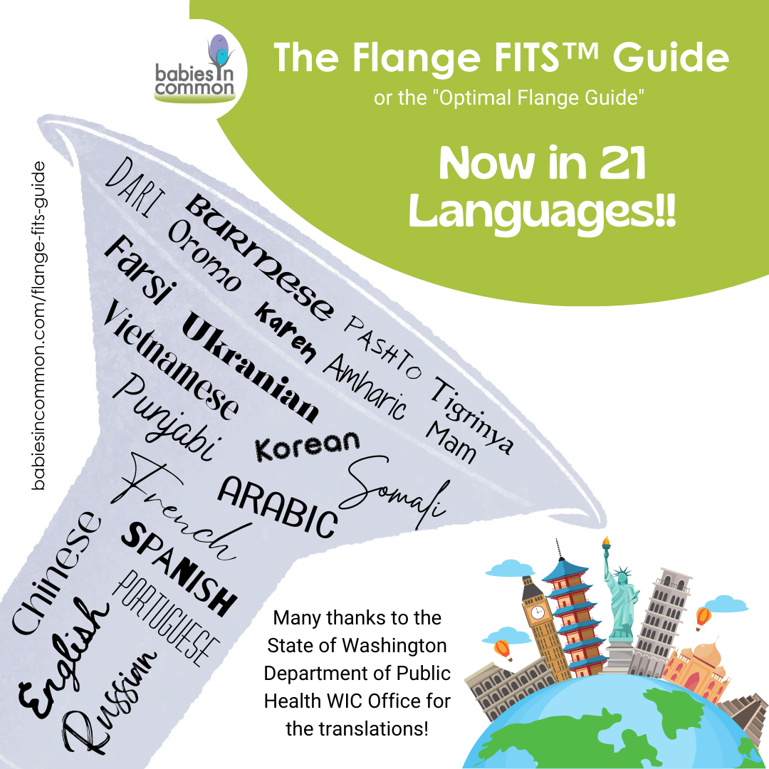 21 languages of flange fits guide now available
