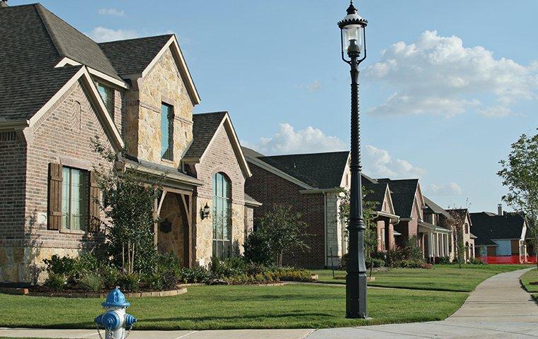 street view of a community of homes in dallas texas