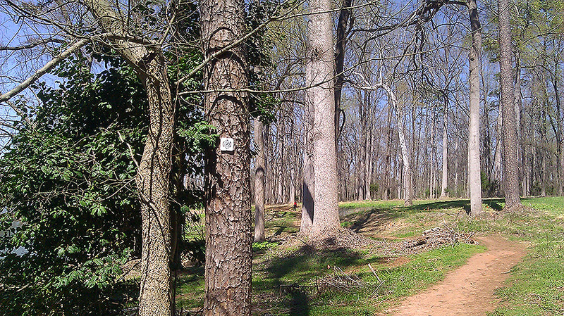 Seven Oaks Preserve Trail