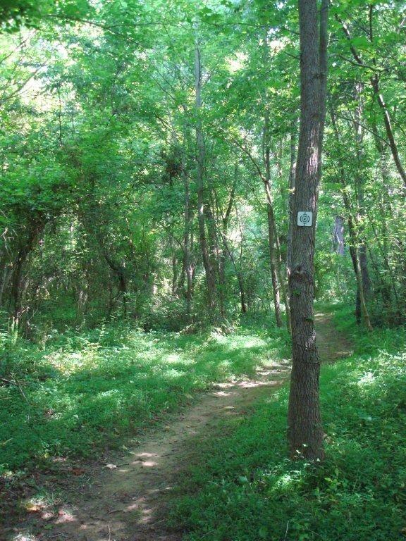 Forney Creek Trail - Kathryn G. Clark Segment