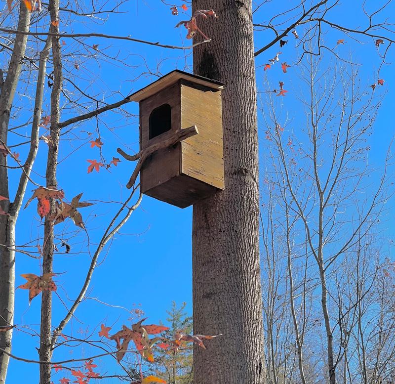 Owl house on trail