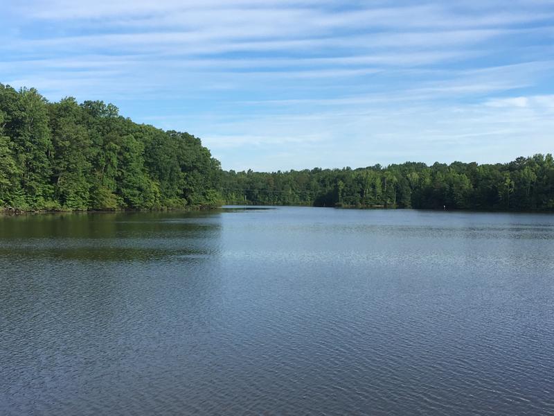 Overmountain Victory Trail - Lake Whelchel Segment