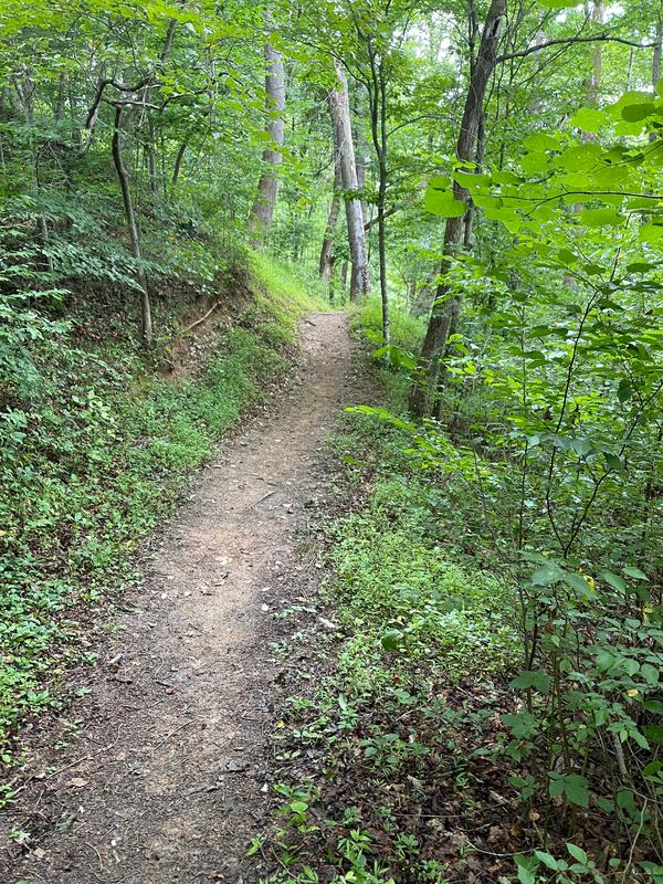 Girl Scout Trail (Credit: Jbm)