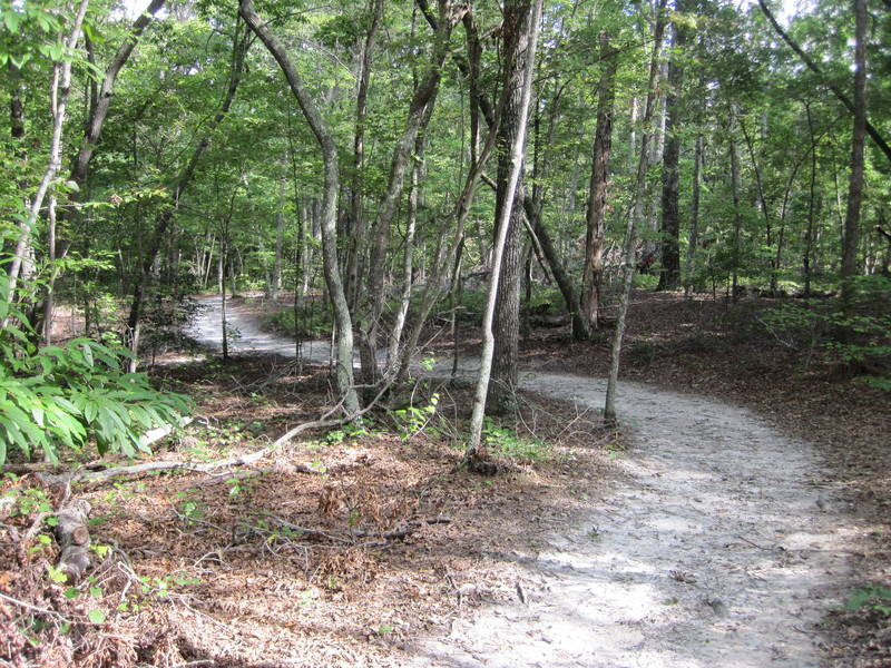 Kings Mountain State Park Trail - National Recreation Trail