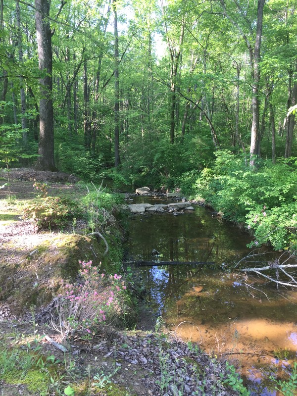 Rock Hole Creek Trail