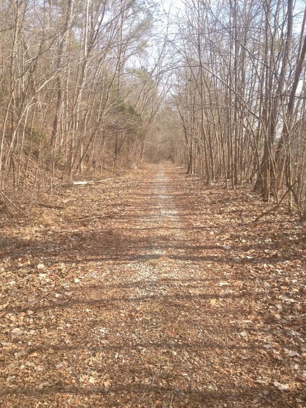 Rocky Creek Trail