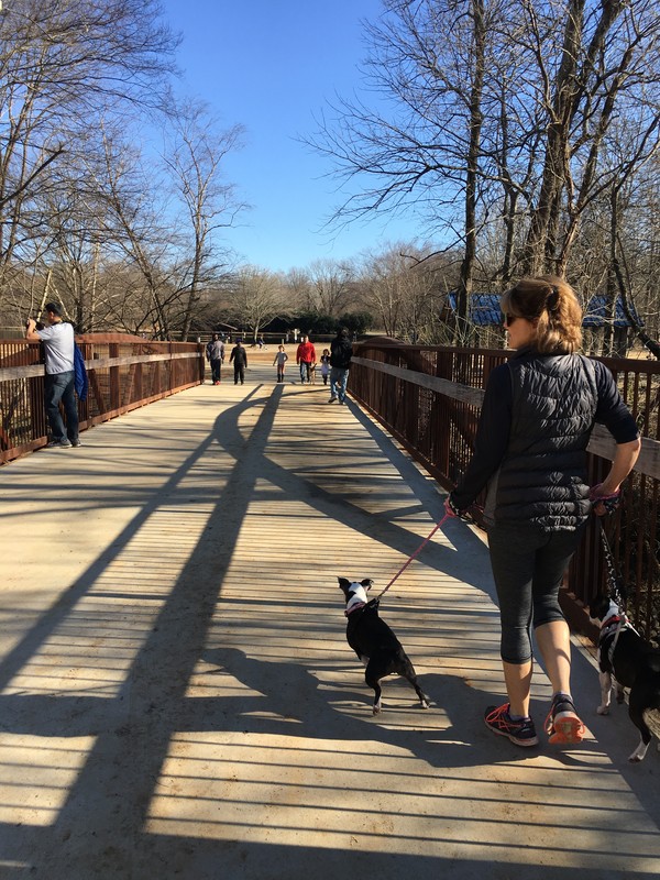 Mcalpine Creek And Campbell Creek Greenway