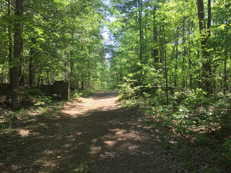 Morrow Mountain State Park Trail