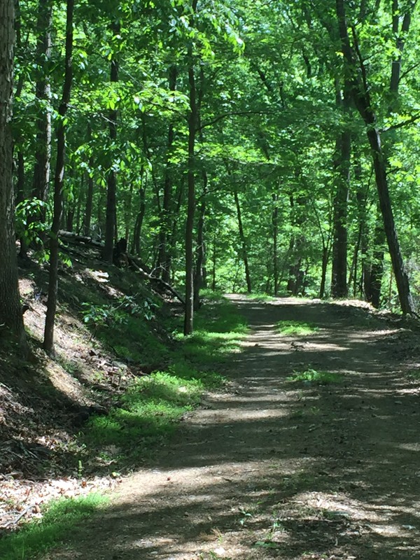 Morrow Mountain State Park Trail