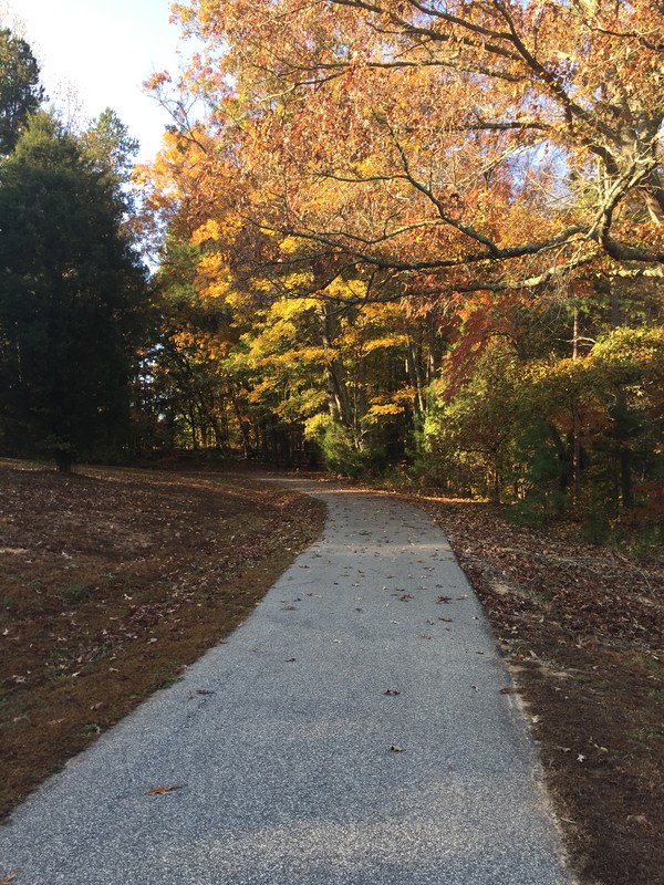 Salisbury Community Park Trail