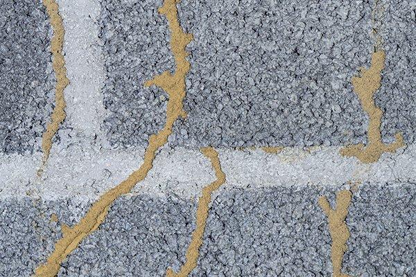 termite mud tubes