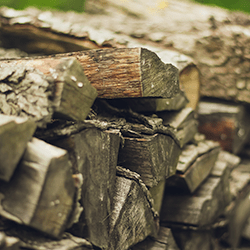 Learn How To Keep Firewood Pests Out Of Your Home This Winter woodpile next to pennsylvania home