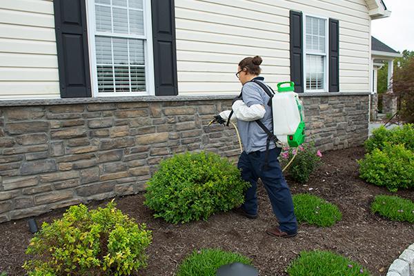 pest control technician treating the exterior of a franconia pa home