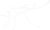 white mosquito icon