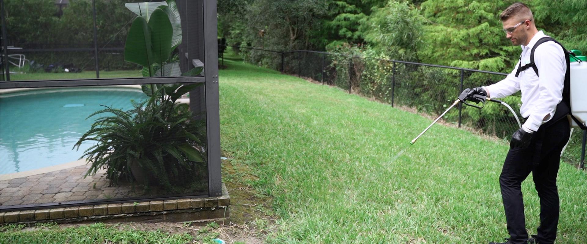 Home Pest Control in Tampa Bold Servicing