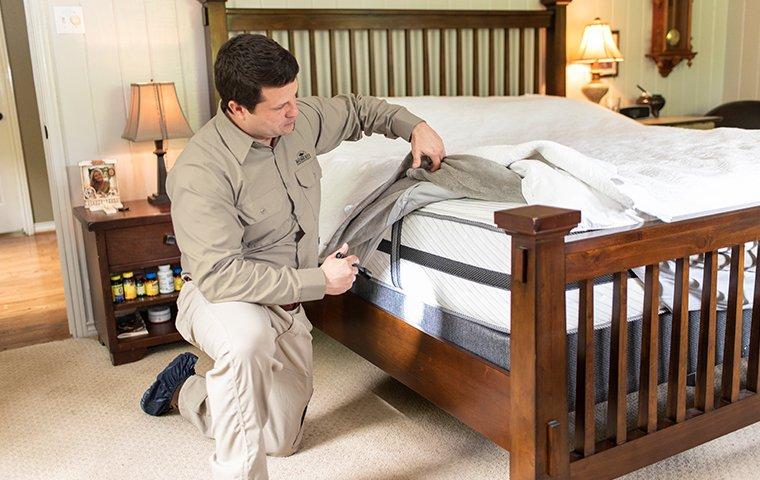 A Professional Inspection Will Reveal The Bed Bugs a pest technician inspecting a mattress for bed bugs in a home in austin texas