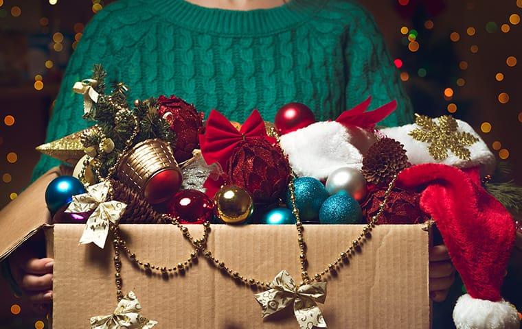 a box of holisday decorations infested with pests inside of a austin texas home