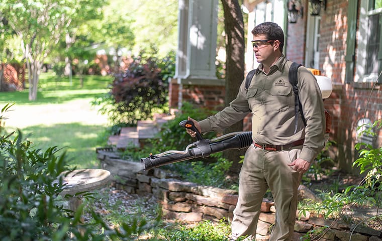 a pest technician performing a mosquito treatment outside of a home in cedar park texas