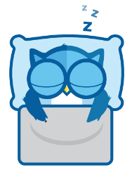 sleeptest.com owl step two icon